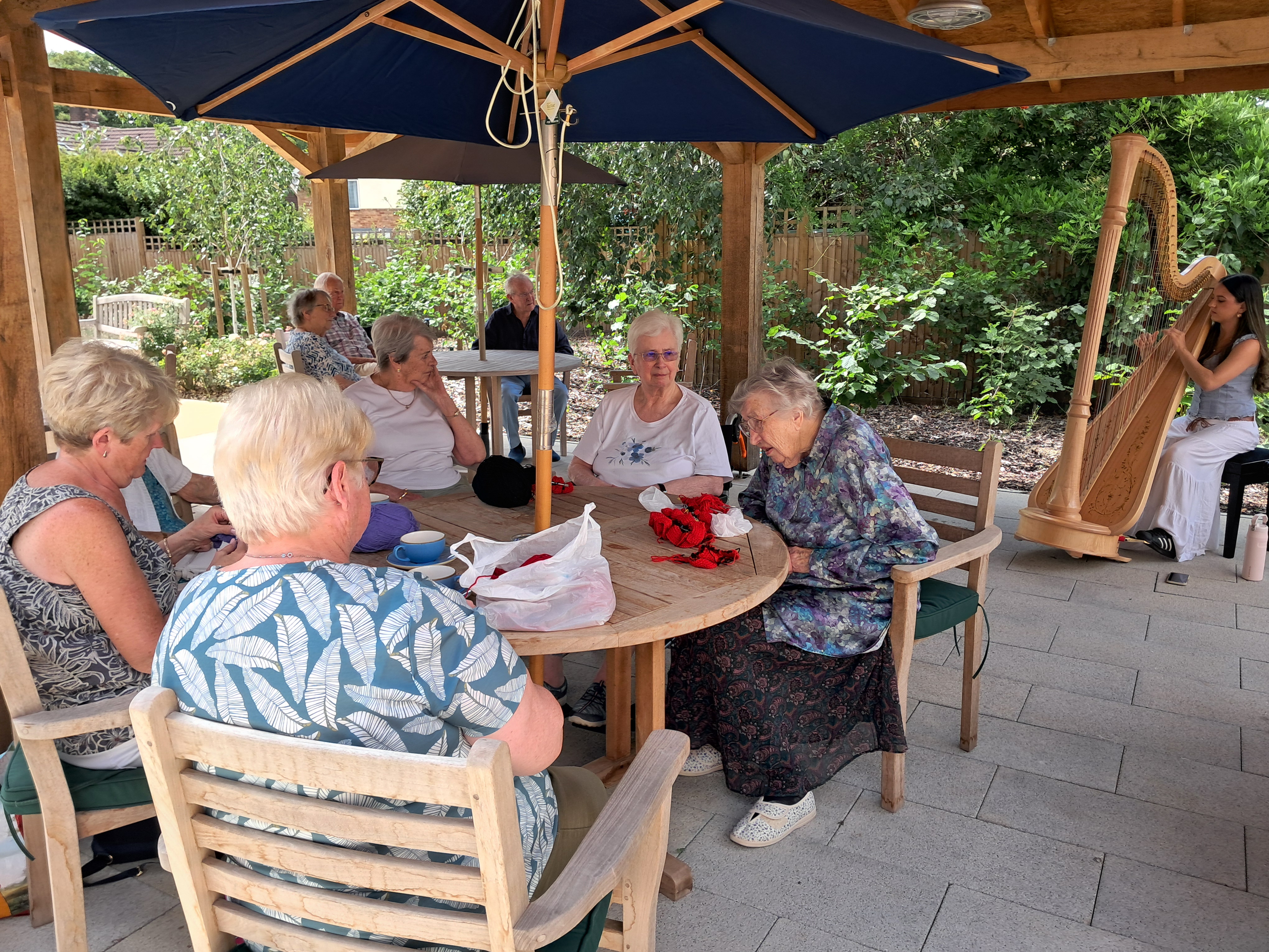 residents and harpist