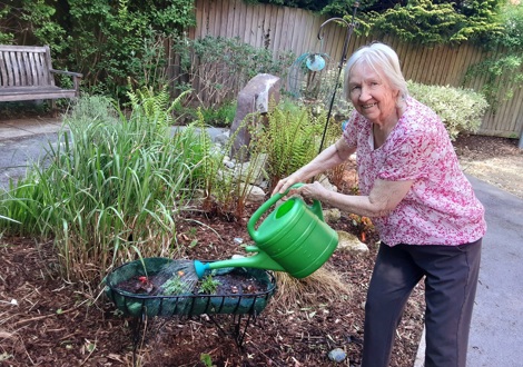 Hamberley Care Homes