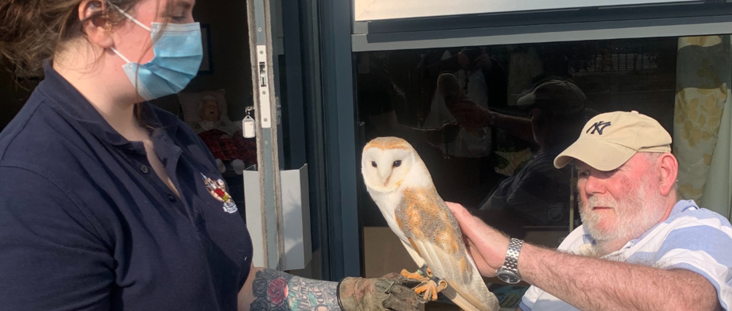 Hamberley Care Homes