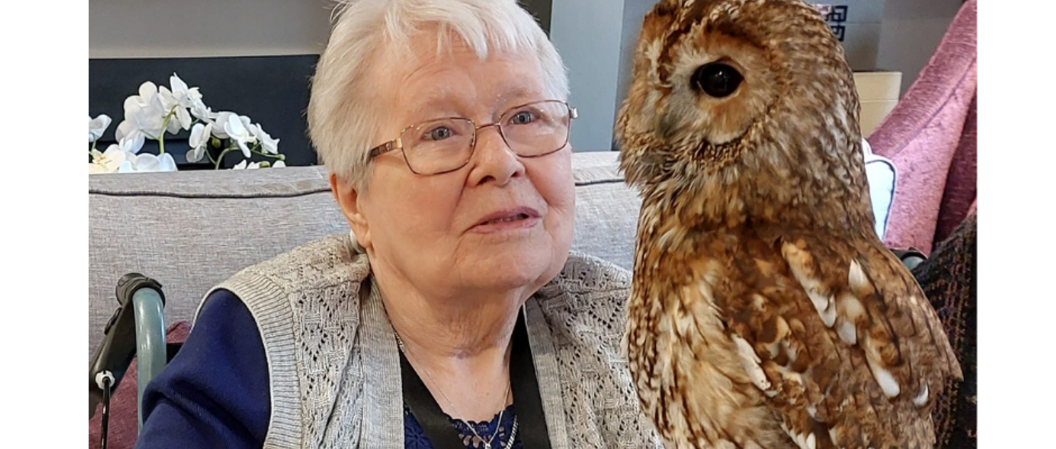 Hamberley Care Homes