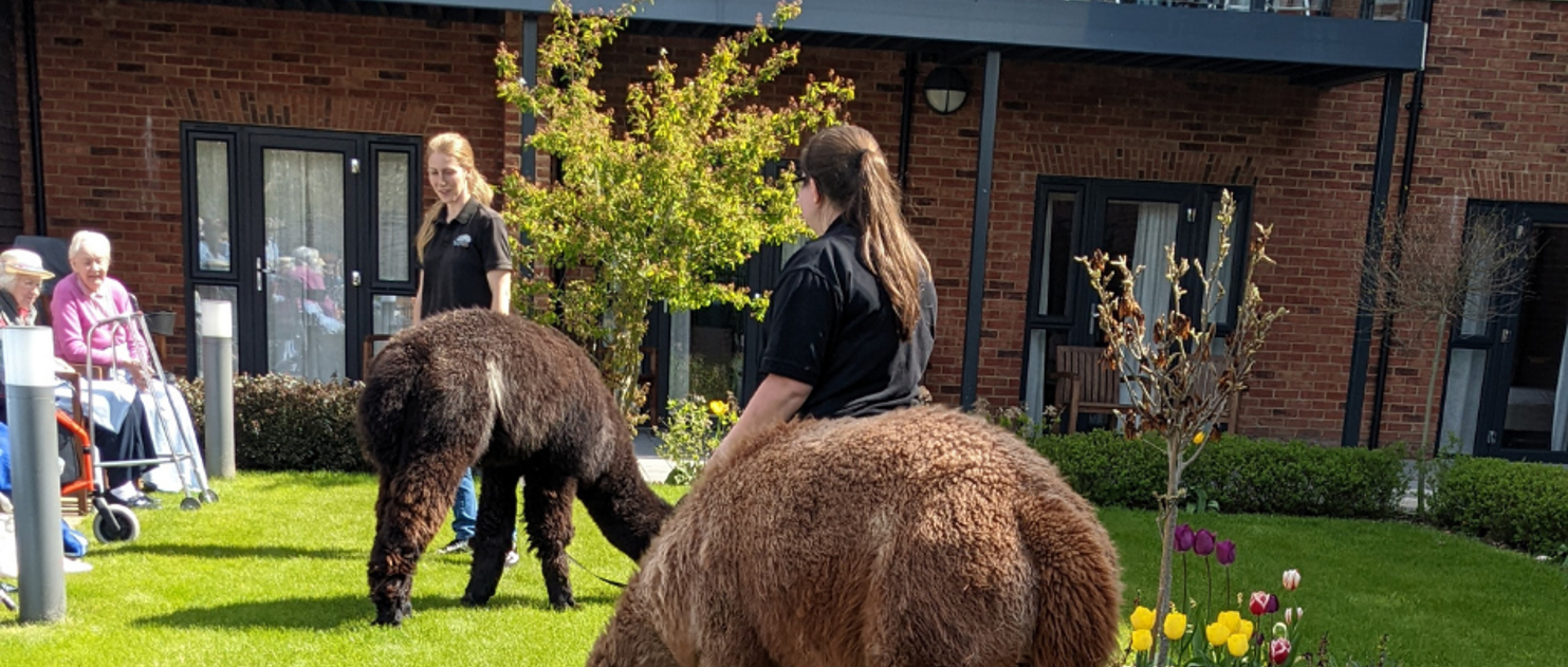 Hamberley Care Homes