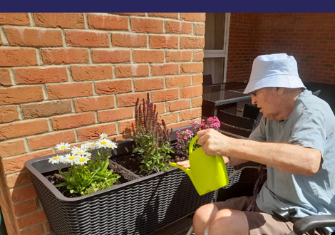 Hamberley Care Homes