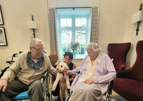 Hamberley Care Homes