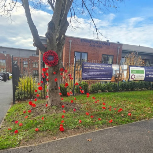 poppy display round tree