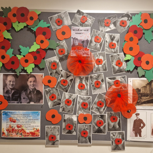 remembrance day poppies indoors