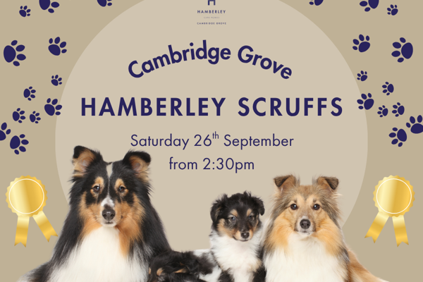 Hamberley Scruffs: Cambridge Grove’s Very Own Dog Show