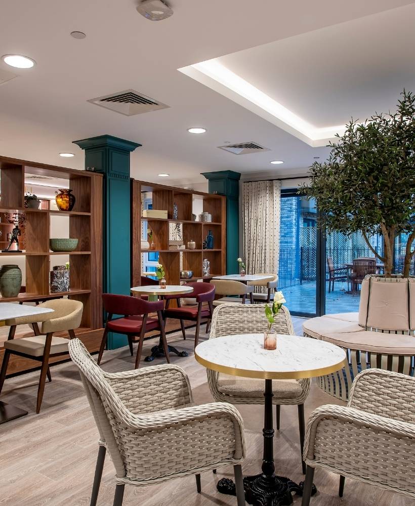 Chef preparing fresh meals