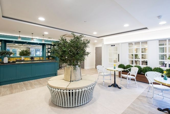 cafe area with tree indoors - surrounded by bench