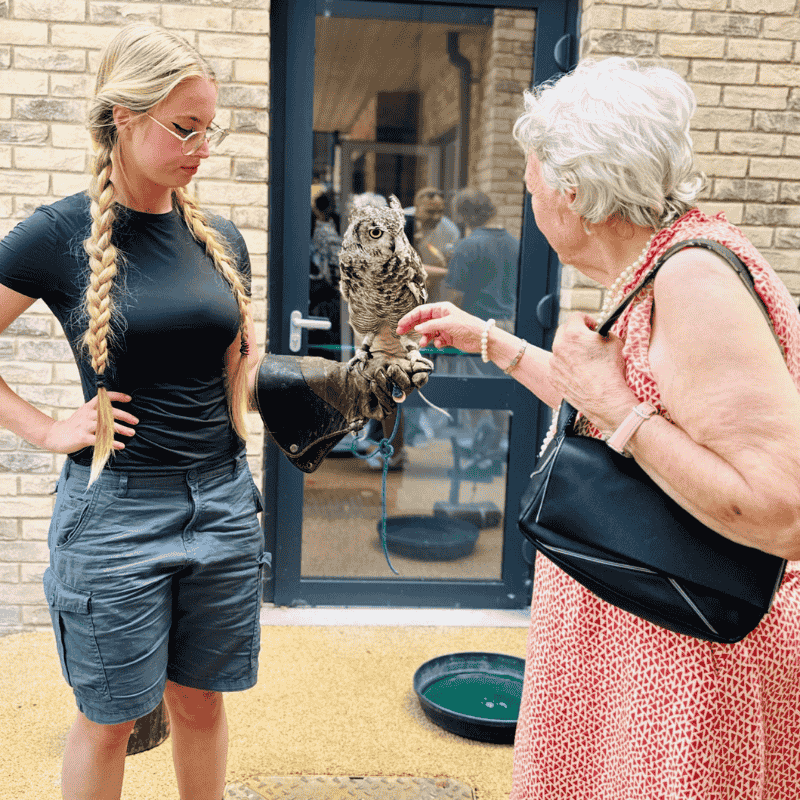 Cambridge Grove owl entertainment with resident