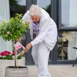 Hamberley Care Homes Image Gallery