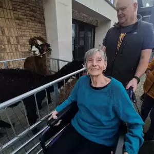 663126470 931706059616596 8454855855865046555 N