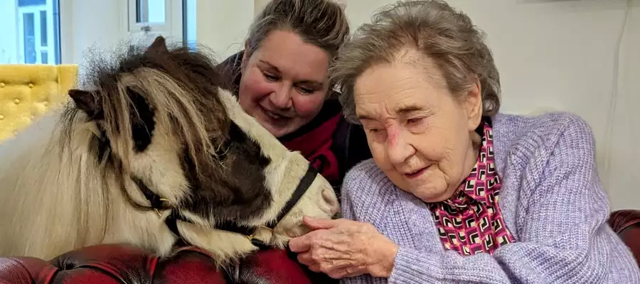 Adorable Apollo And Daisy Win Hearts Of Residents At Milngavie Adorable Apollo And Daisy Win Hearts Of Residents At Milngavie