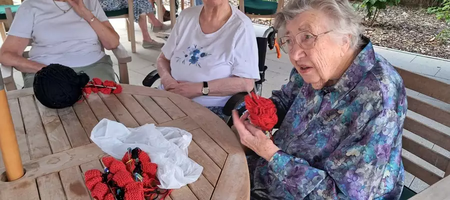 Hinhead knitter rediscovers crafting passion to create 130 poppies