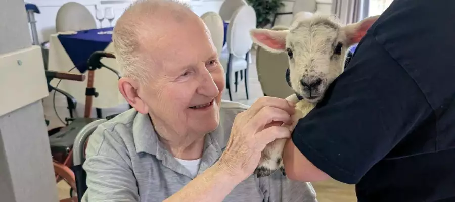 Baby Lamb Visit Brings Smiles to Upton Manor
