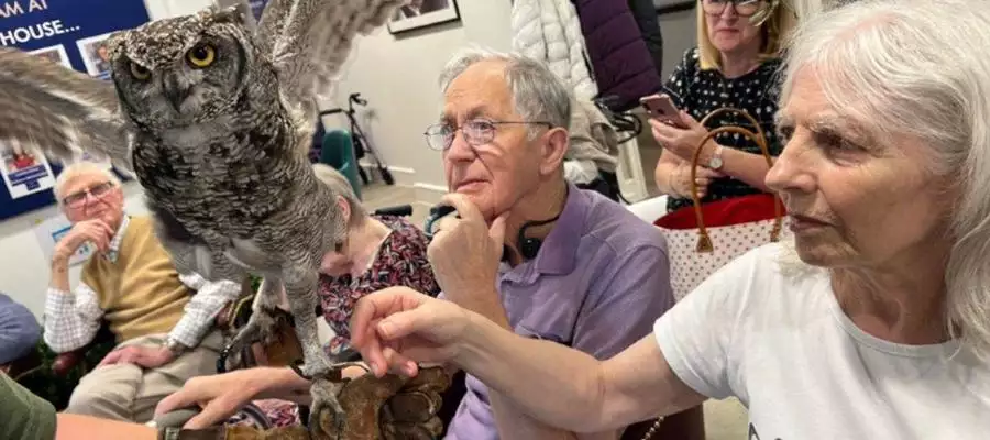 Feathered friends impress at Montague House