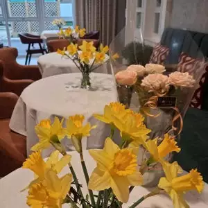 649926555 122180219168604599 8380520306374041028 N