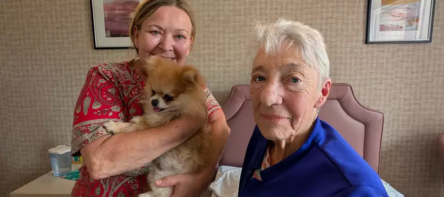 Doggie delight as Pomeranian pooches bring joy to Cambridge Grove