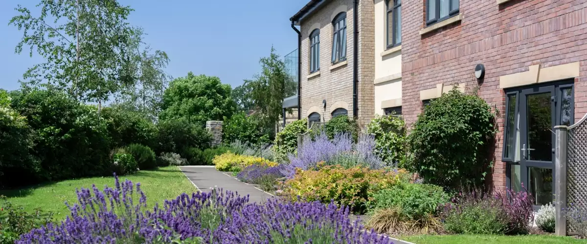 media