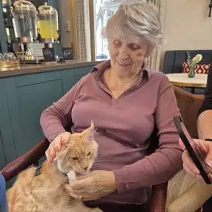 656305073 918766667547601 8694251117661949458 N