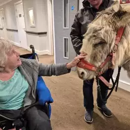 Hamberley Care Homes Image Gallery