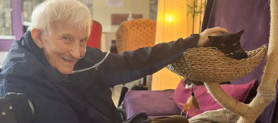 A Purr-fect Day Out: Newton House Residents Visit Glasgow’s Purrple Cat Café A Purr-fect Day Out: Newton House Residents Visit Glasgow’s Purrple Cat Café
