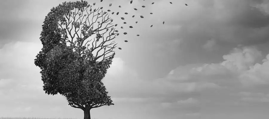 Dementia support: Where can I find help? Dementia support: Where can I find help?