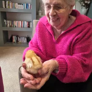 659794470 961640169711319 9190395104744730548 N