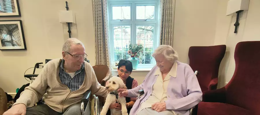 LIFE-SAVING DOGS STOP BY TO VISIT ALSTON HOUSE RESIDENTS