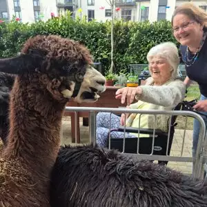 660536513 931706082949927 1050938087111491757 N