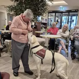 Hamberley Care Homes Image Gallery