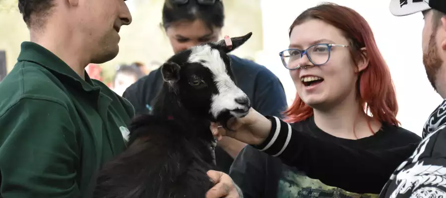 Spring fun day brings generations together in Brampton
