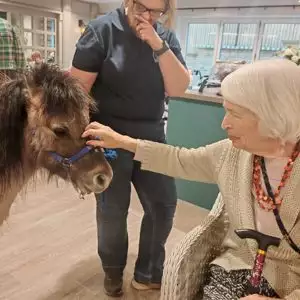 647122215 122274476096251736 167346719496449415 N