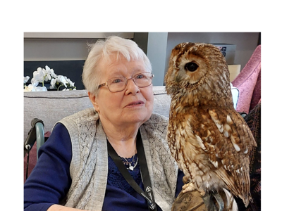 First-time Owl Encounters Thrill Richmond Residents
