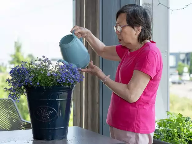Dementia care