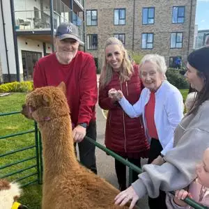 Easter.Elstow.Ramona, Joy And Alpacas