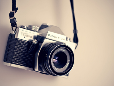 Elstow Residents Put Pets In The Picture