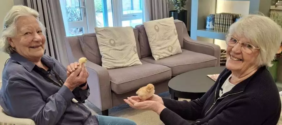 Farmyard visitors bring a day of smiles to Cambridge Grove