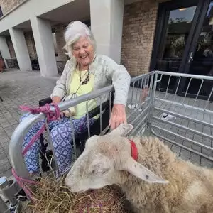 660608339 931706089616593 6888953785431992524 N