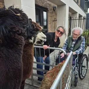 660508789 931706196283249 1098275779246176830 N