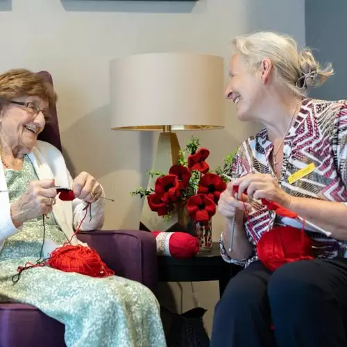 hamberley care homes