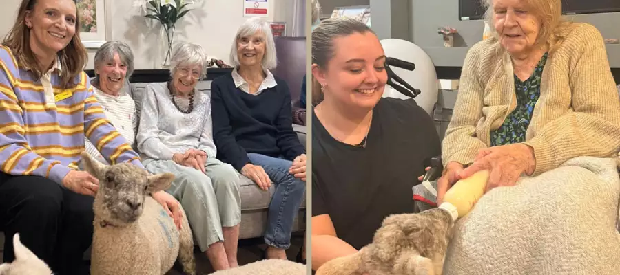 Spring lambs bring joy to residents at Verwood House