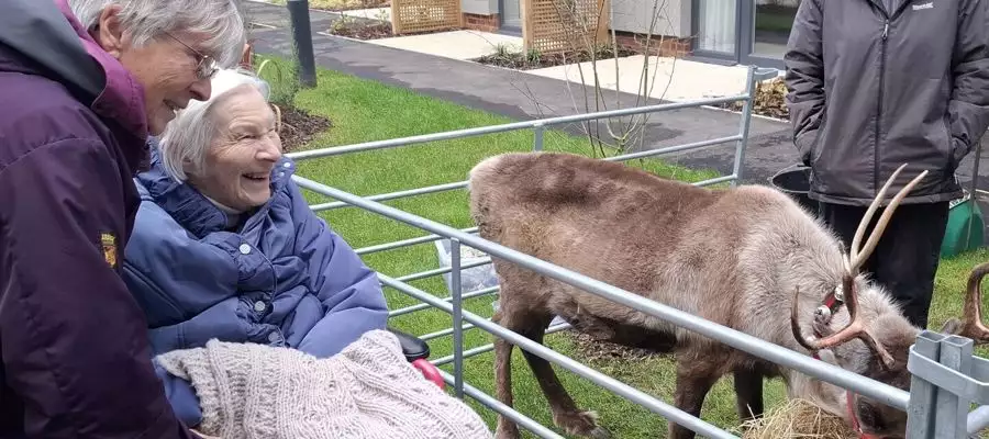 Prancer and Jingles Bring ‘Deer-Light’ to Templeton Place