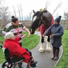 Hamberley Care Homes Image Gallery