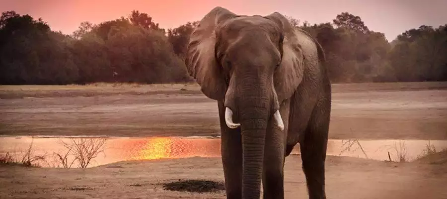 Edwalton cards prove a sell out success at home.