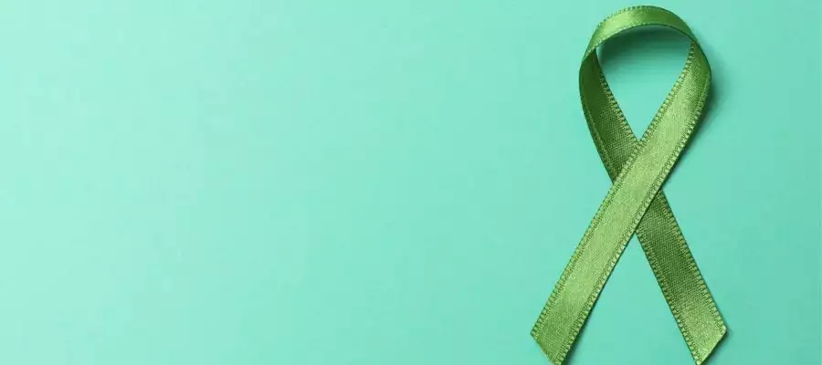 Embracing Mental Health and Wellbeing in Our Care Homes  Embracing Mental Health and Wellbeing in Our Care Homes